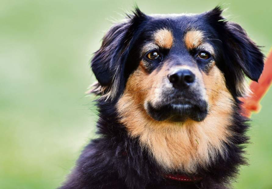 Slide 
													
													2