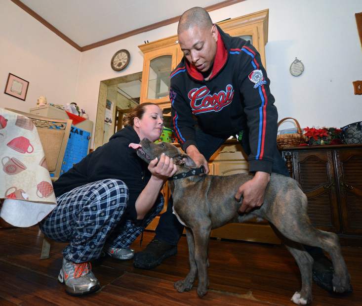 vndharrisonfire4041015jpg