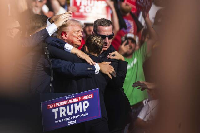 Slide 
													
													2