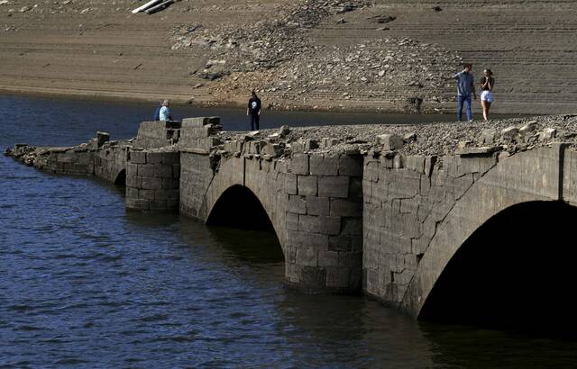 Slide 
													
													3